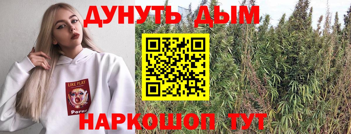 Шишки марихуана Amnesia Торжок